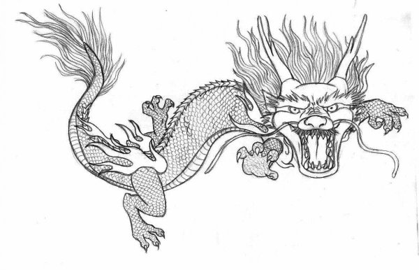 Раскраски дракон китайский (27 фото)