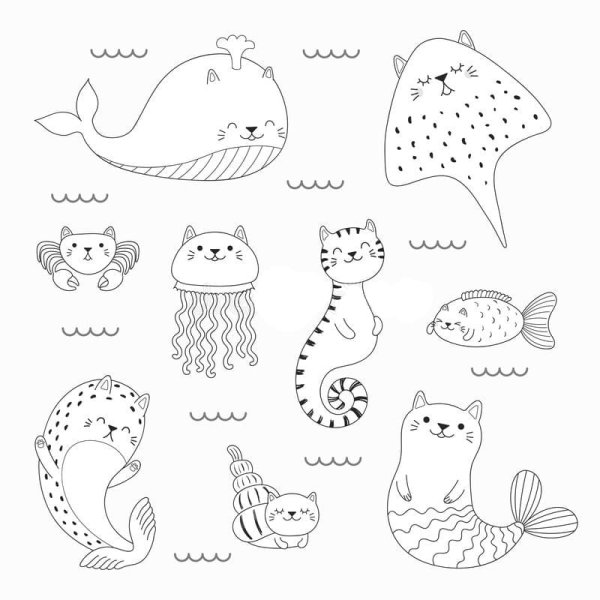 Морской котик раскраска милые