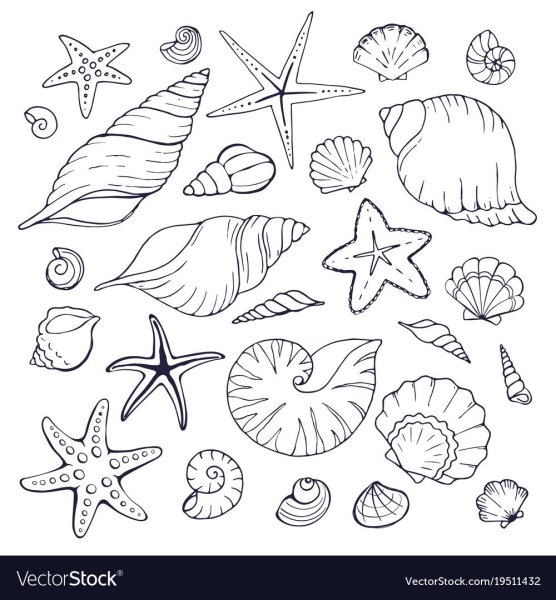 Раскраски ракушки морские