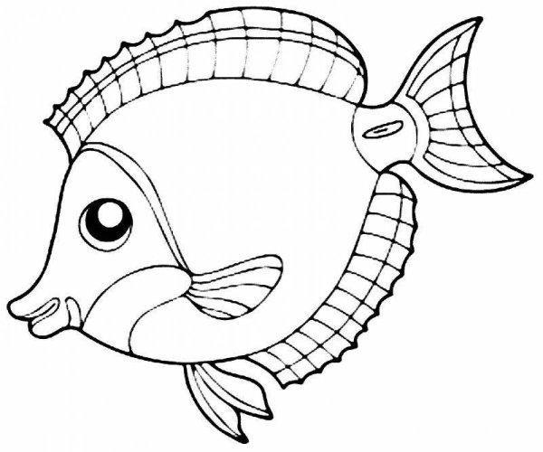 Раскраски морские рыбки (41 фото)