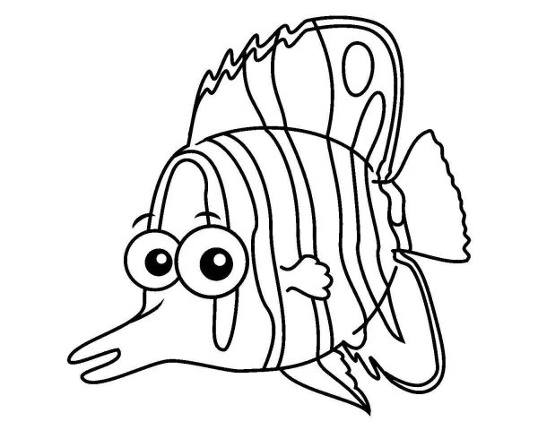 Морские рыбы раскраска