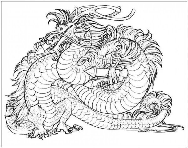 Раскраски китайский дракон легкая (28 фото)