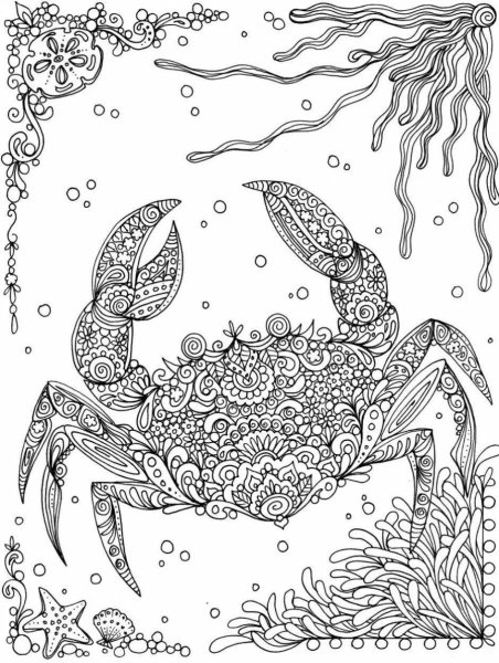 Раскраски антистресс морские