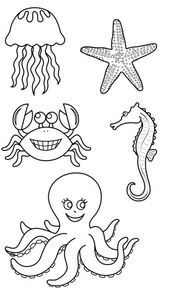 Рисование морские обитатели
