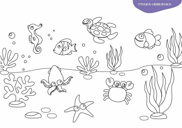 Подводный мир для детей 5-6 лет