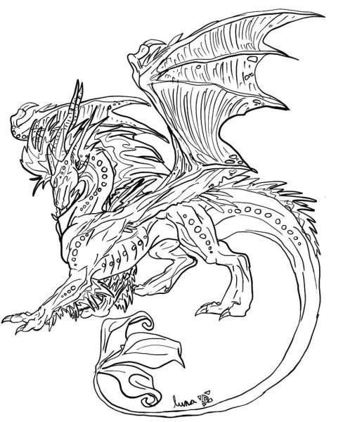 Раскраски контурная дракон (43 фото)