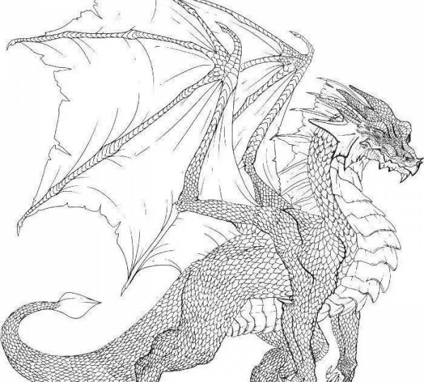 Раскраски дракон аниме (44 фото)