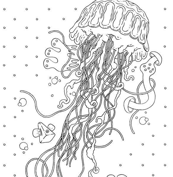 Jellyfish раскраска для детей