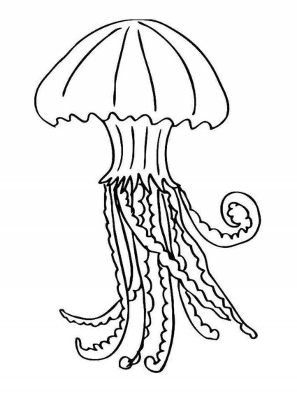 Раскраски морская медуза (43 фото)