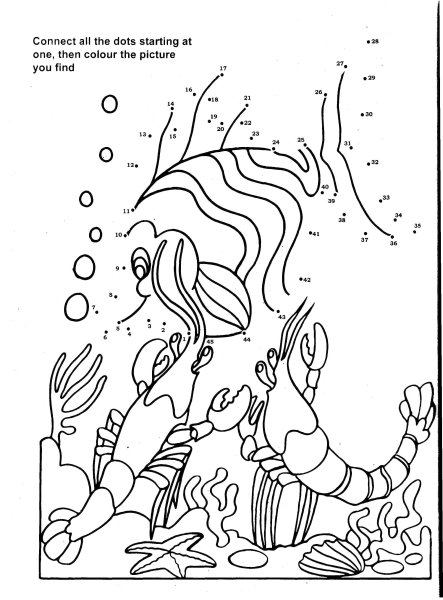Under the Sea раскраски