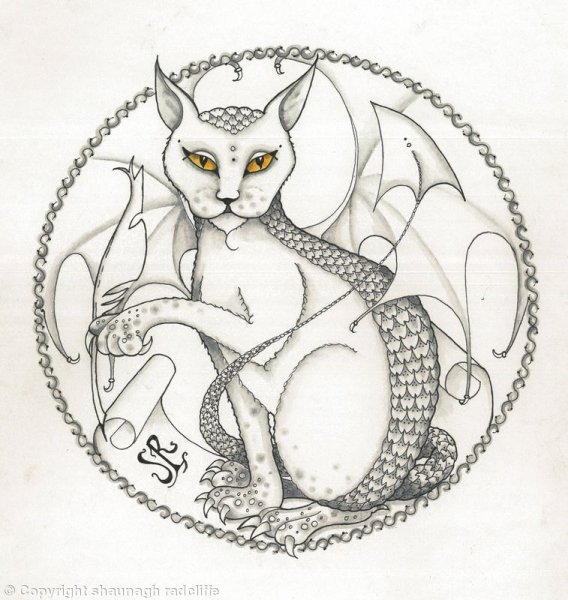 Кот дракон раскраска