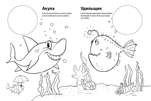 Морские обитатели задания для детей