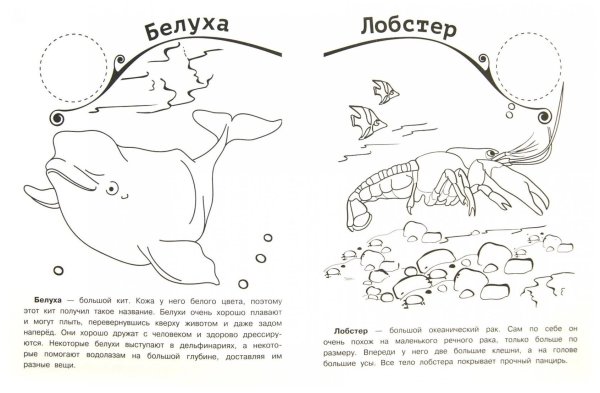 Животные морей и океанов задания