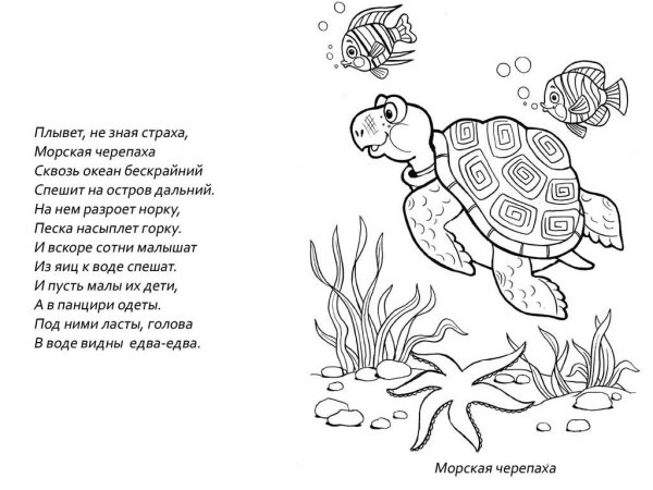 Раскраски морское дно черепаха (44 фото)