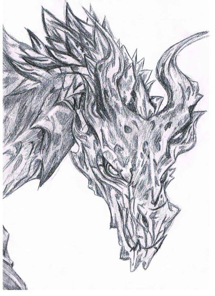 Раскраски дракона из скайрима (49 фото)