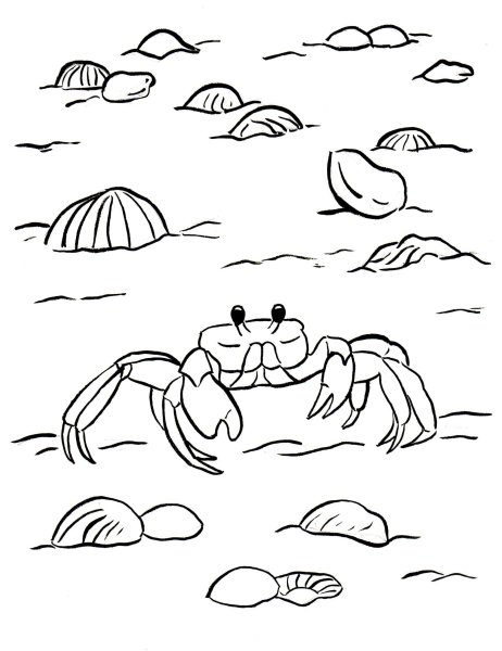 Раскраска Крабик