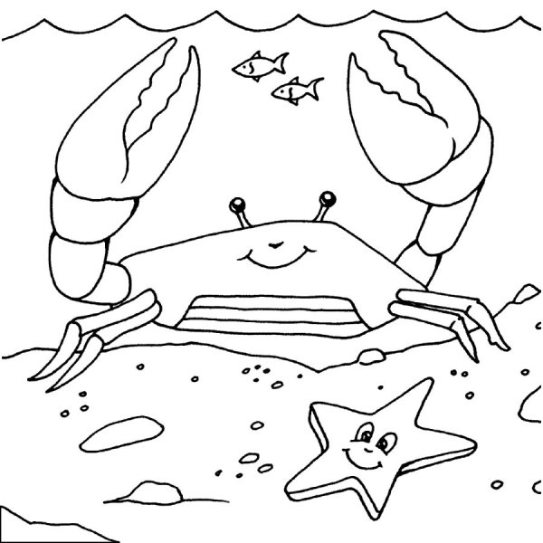Раскраска морской краб