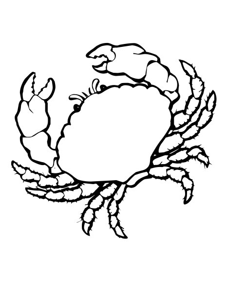 Краб раскраска