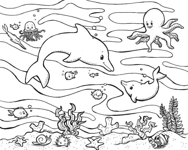 Раскраски морские животные в океане (44 фото)