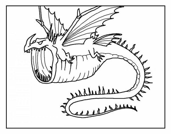 Раскраски дракон кривоклык (44 фото)