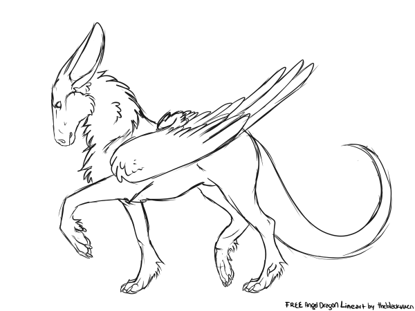 Dutch Angel Dragon Freeline