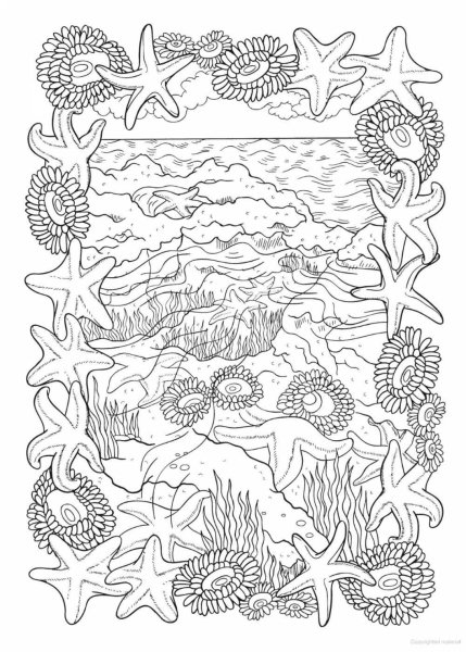 Раскраска антистресс море