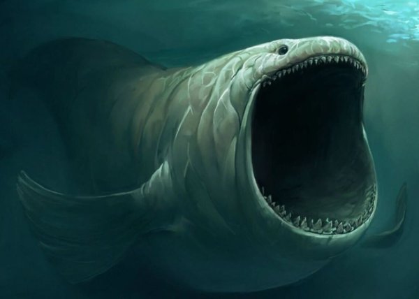 Раскраски блуп морское чудовище (45 фото)