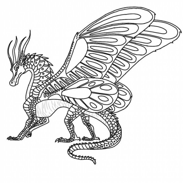 Wings of Fire Silkwing Base