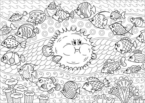 Морские Ежи раскраска
