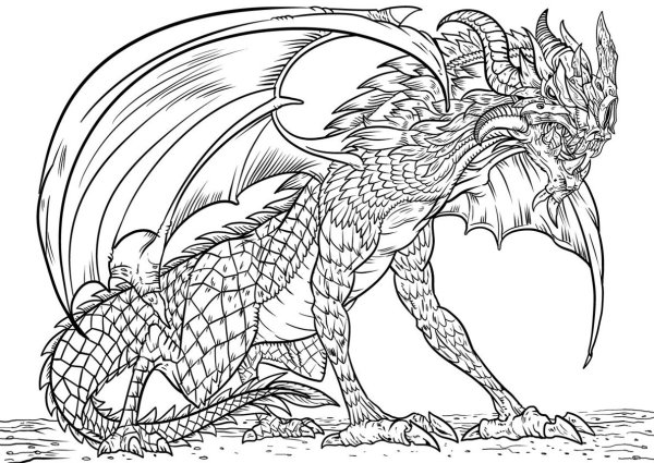 Раскраски страж дракон (42 фото)
