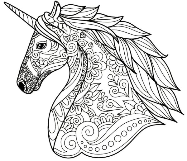 Раскраска my little Pony Санни