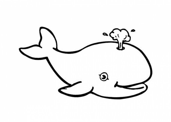 Раскраски морской кит (33 фото)