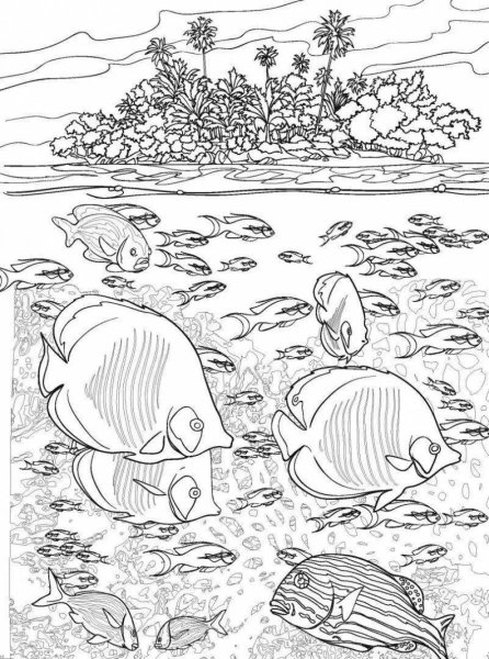 Морское дно раскраска