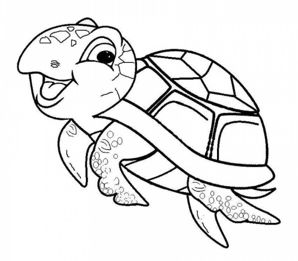 Черепаха Тортилла раскраска