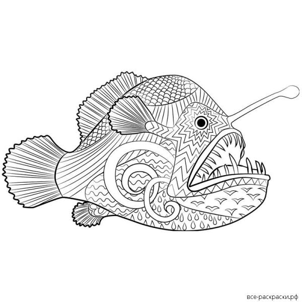 Рыба удильщик раскраска