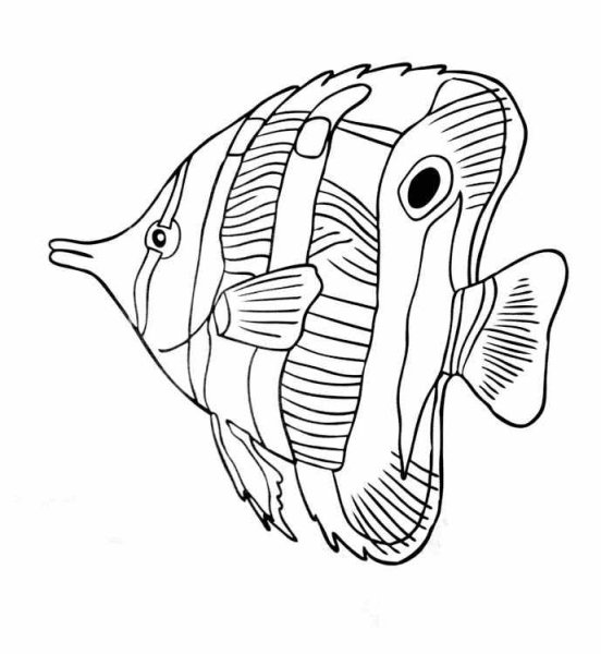 Морские рыбки раскраска