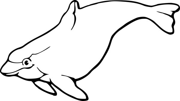 Морская свинья раскраска