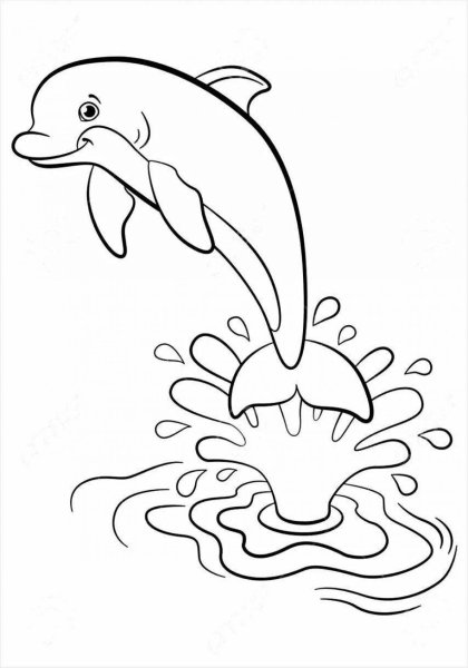 Раскраски морские обитатели Дельфин