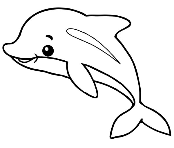 Беломордый Дельфин раскраска