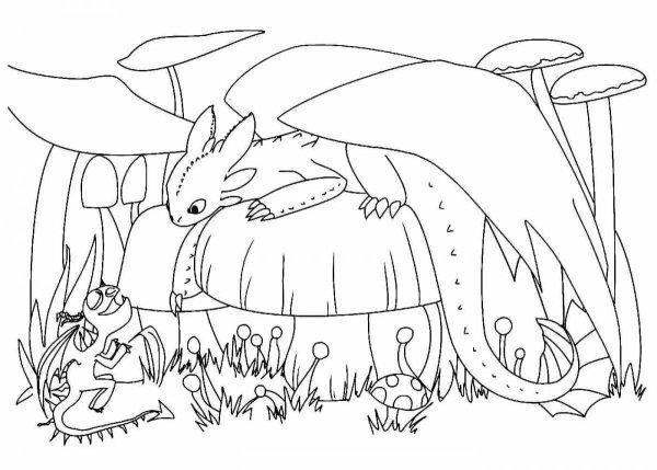 Раскраска как приручить дракона Беззубик
