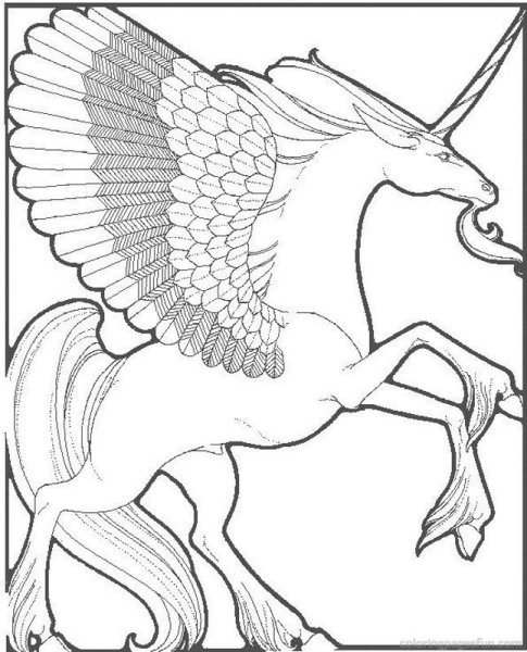 Крылатый Единорог раскраска