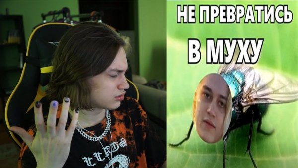 Николай тик ток Nekoglai