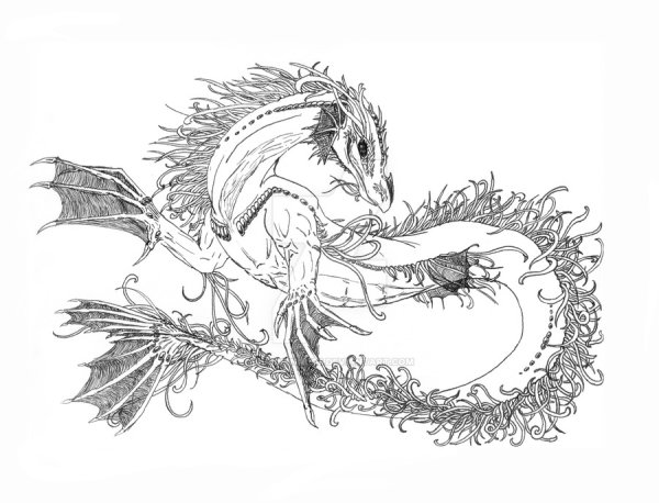 Раскраска водяной дракон