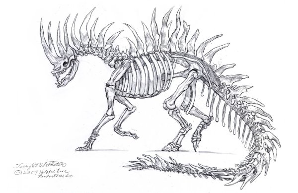 Скелет динозавра раскраска