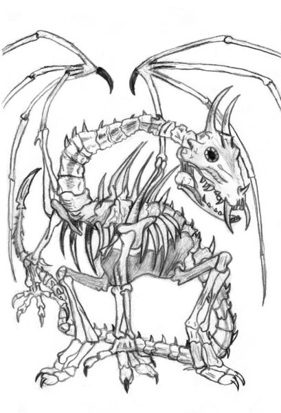 Костяной дракон раскраска