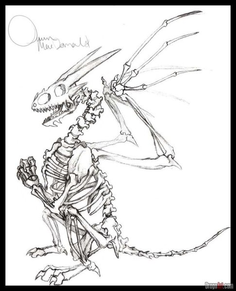Скелет дракона карандашом