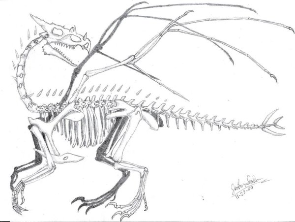 Скелет дракона и динозавра
