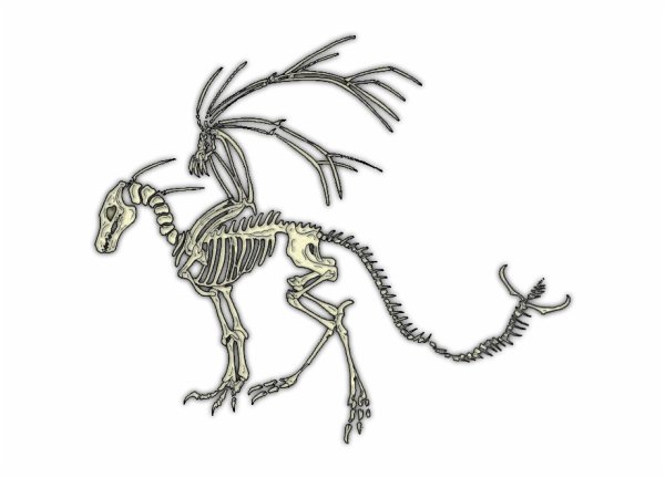 Раскраски дракон скелет (47 фото)