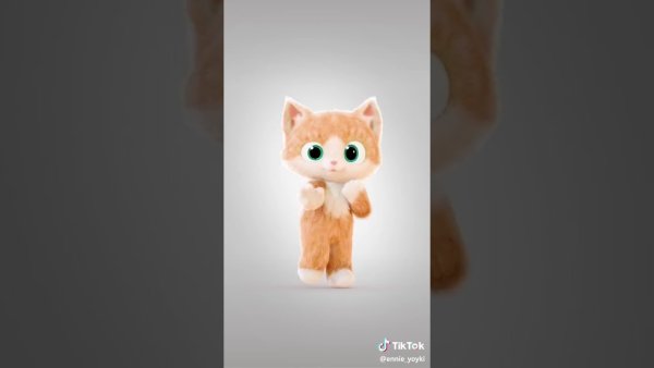 Котики из лайка