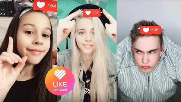Популярных блогеров из лайка